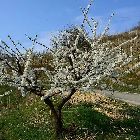 Holiday home Cascina Filura Mango
