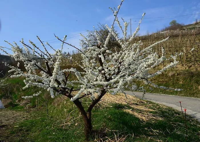 بيت للعطل Cascina Filura Mango